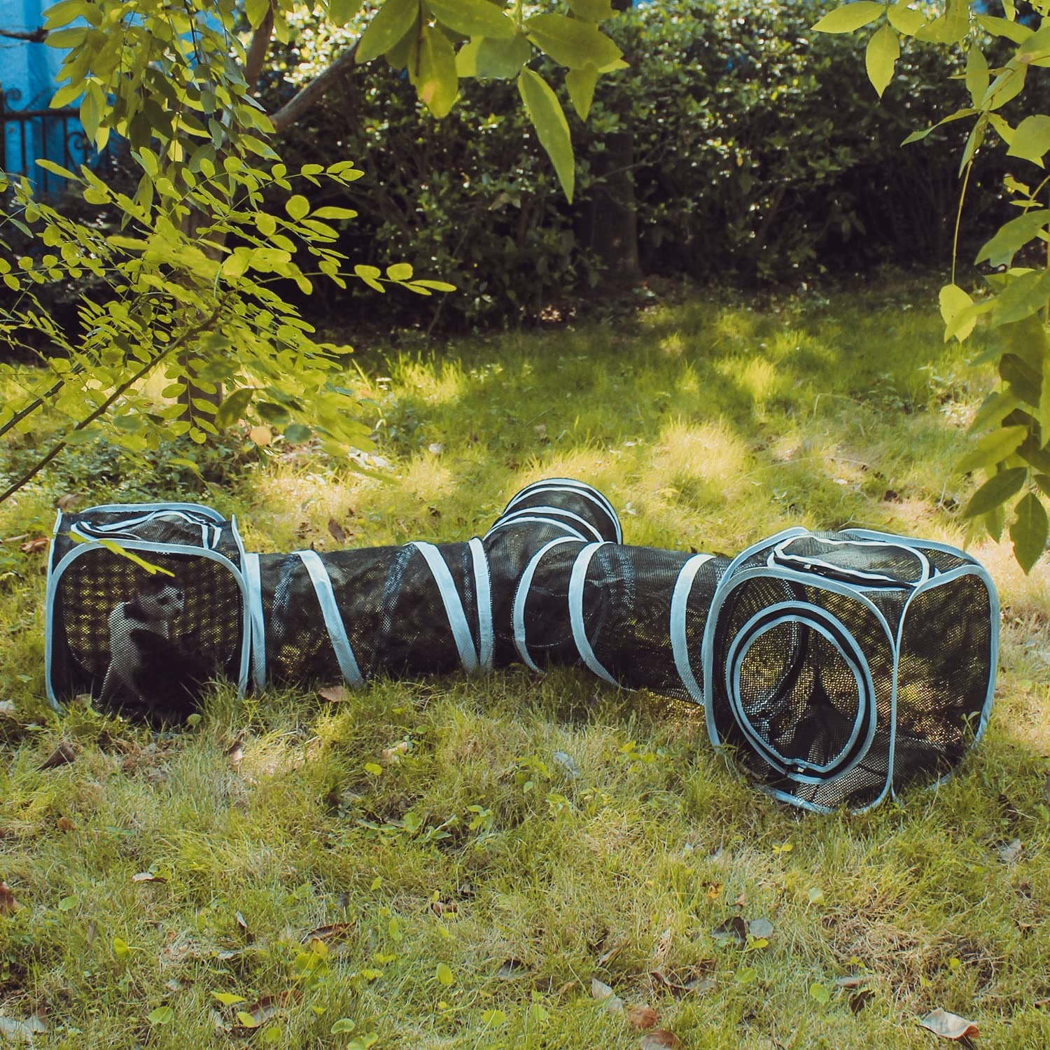 Cat Cube and Tunnel Play Set: image 6