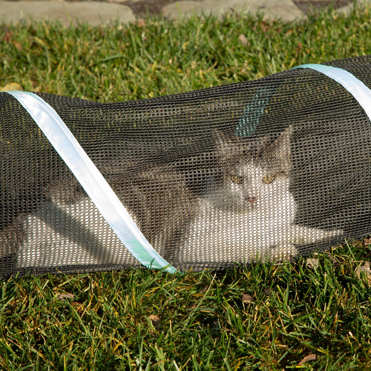 Outdoor Cat Tunnel 3 Metre Play Run: image 2