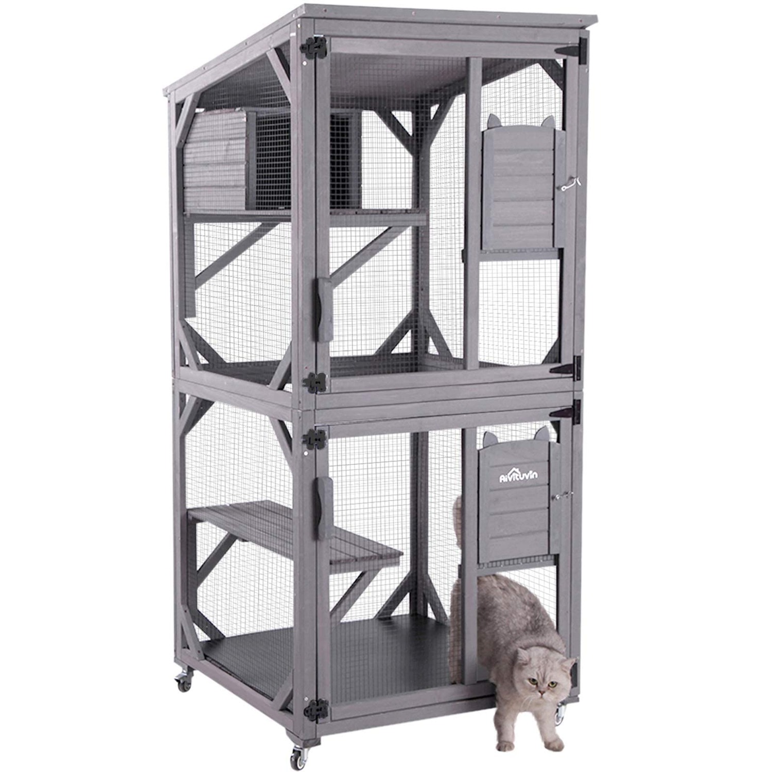 Walk-In Catio Wooden Outdoor Cat Enclosure